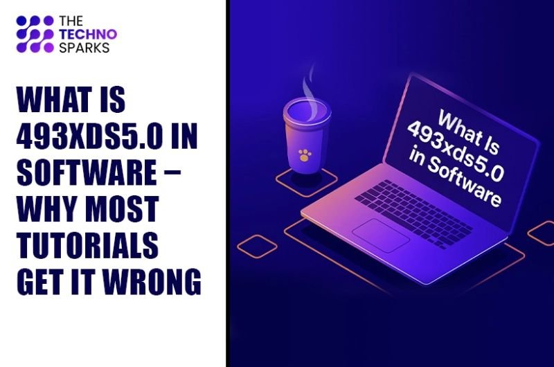 What Is 493xds5.0 in Software